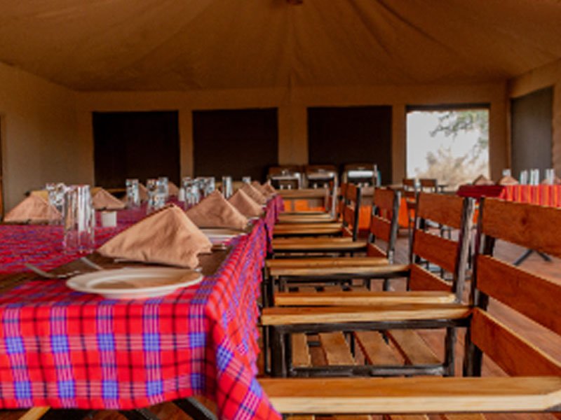 Full-Day Serengeti National Park photo 2