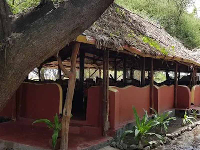 Lake Natron – Return to Arusha photo 1