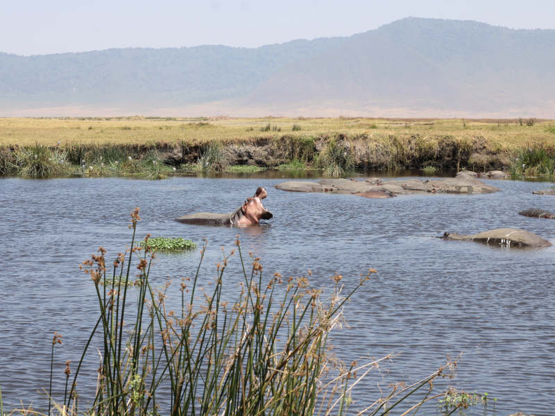 Tarangire National Park - Lake Manyara National Park photo 1