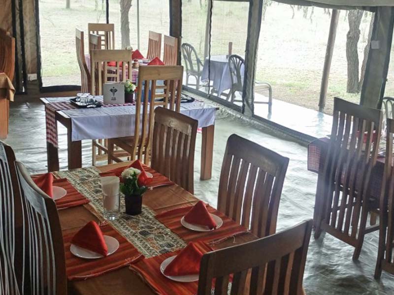 Serengeti National Park → Full day game drive photo 2
