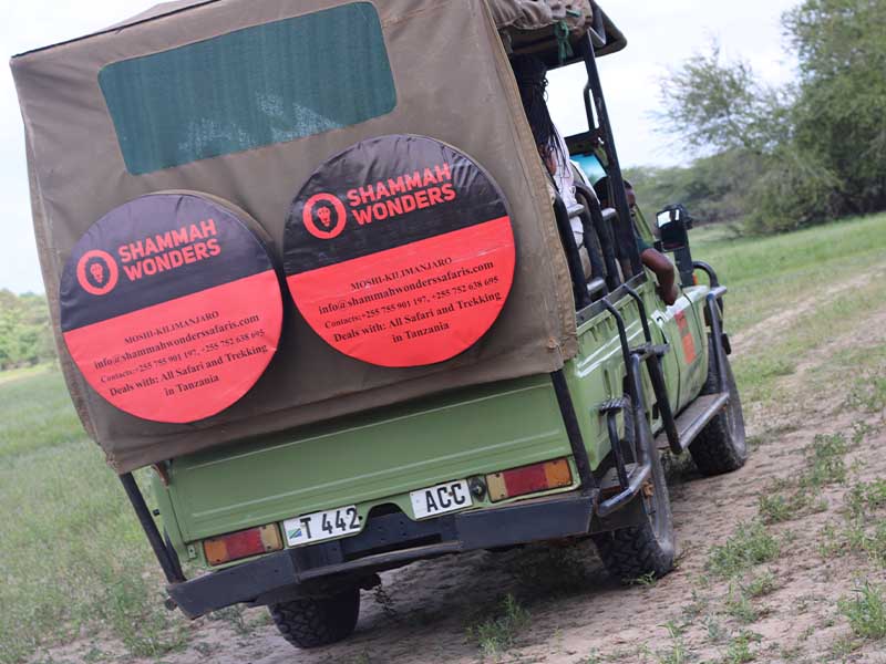 Fly from Zanzibar to Nyerere National Park for an Amazing Game Drive photo 2