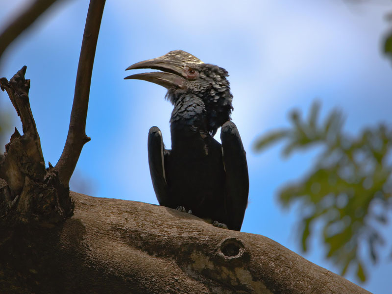 Mto wa Mbu - Lake Manyara National Park photo 1
