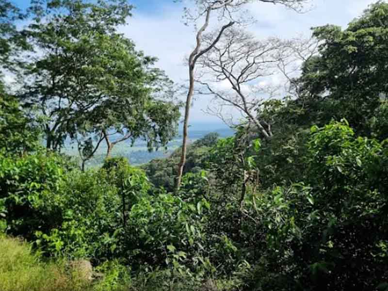 Udzungwa – Return to Dar es Salaam photo 1