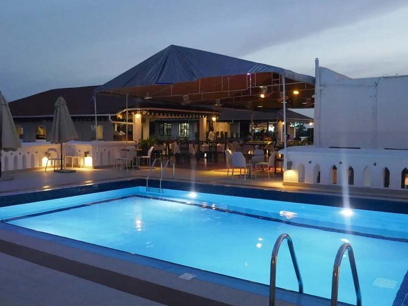 Dolphin Safari & Sandbank Exploration photo 1