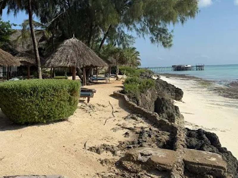 Spice Farm & Jozani Forest photo 1