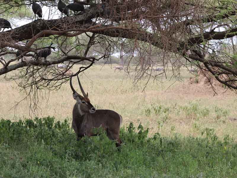 Day description photo 2