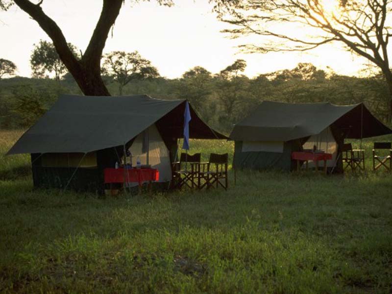 Serengeti National Park (Seronera ) Full Day photo 2