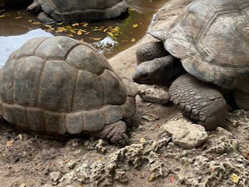 Prison Island & Departure photo 2