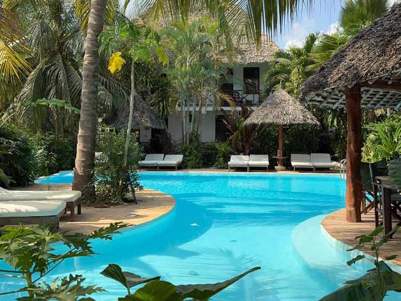 Fly to Zanzibar photo 1