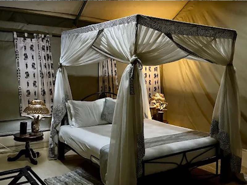 Serengeti National Park - Full day Game Drive photo 2
