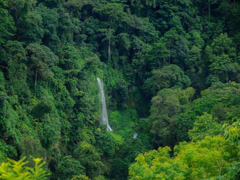 Day description photo 2