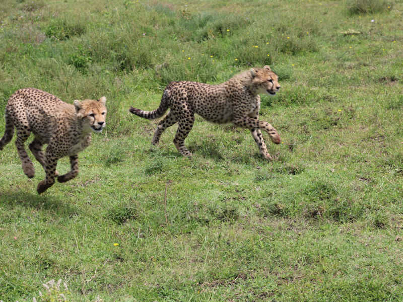 Ngorongoro Crater - Kilimanjaro International Airport photo 1