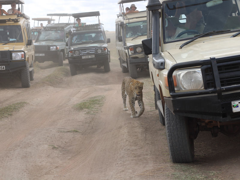 Ngorongoro Crater - Kilimanjaro International Airport (JRO) photo 1