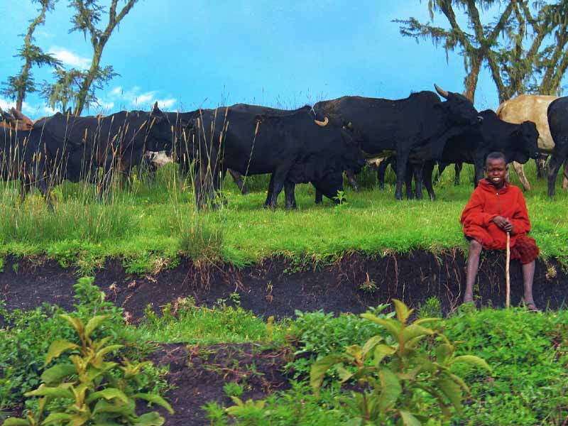 Day description photo 1