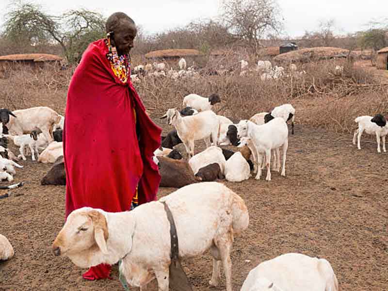 From Arusha to Maasai Boma in Mto wa Mbu photo 2