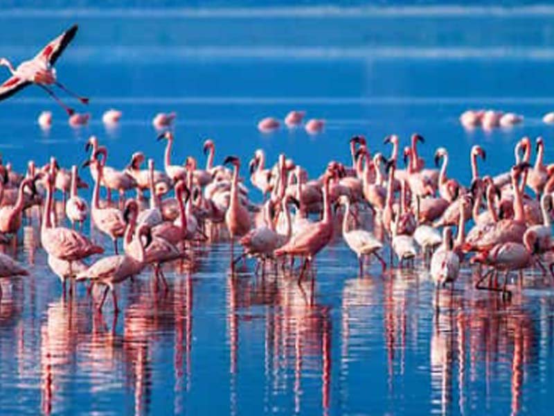 Karatu – Lake Natron photo 1