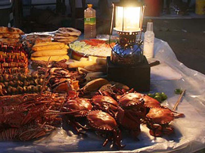 Seaweed & Coastal Farming photo 2