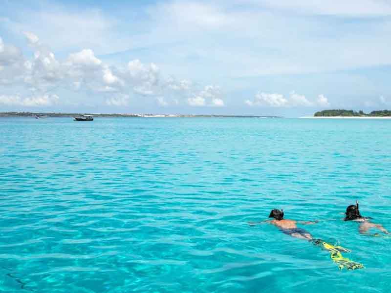 Mnemba Atoll & Snorkeling Adventure & Sunset dhow cruise photo 1
