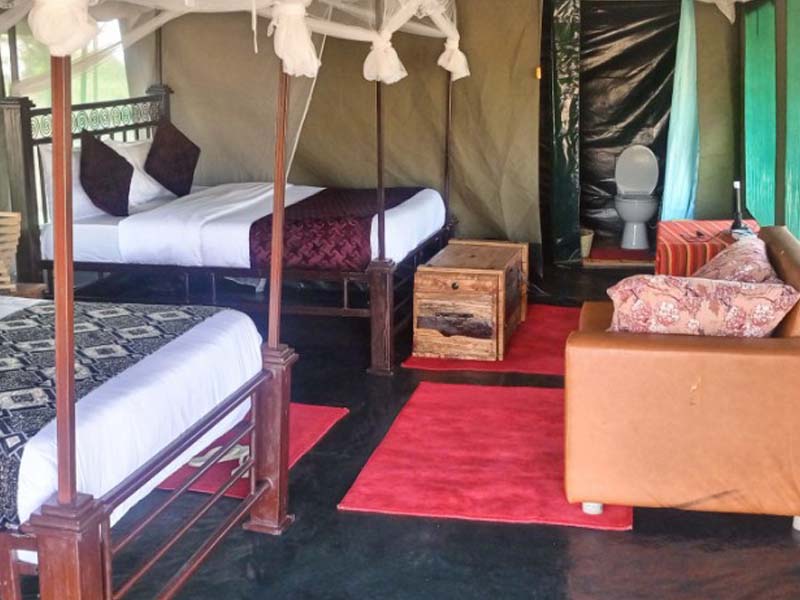 Central Serengeti Full day photo 2