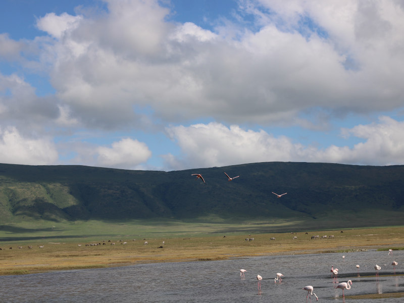 Lake Manyara National Park - Ngorongoro Crater photo 1