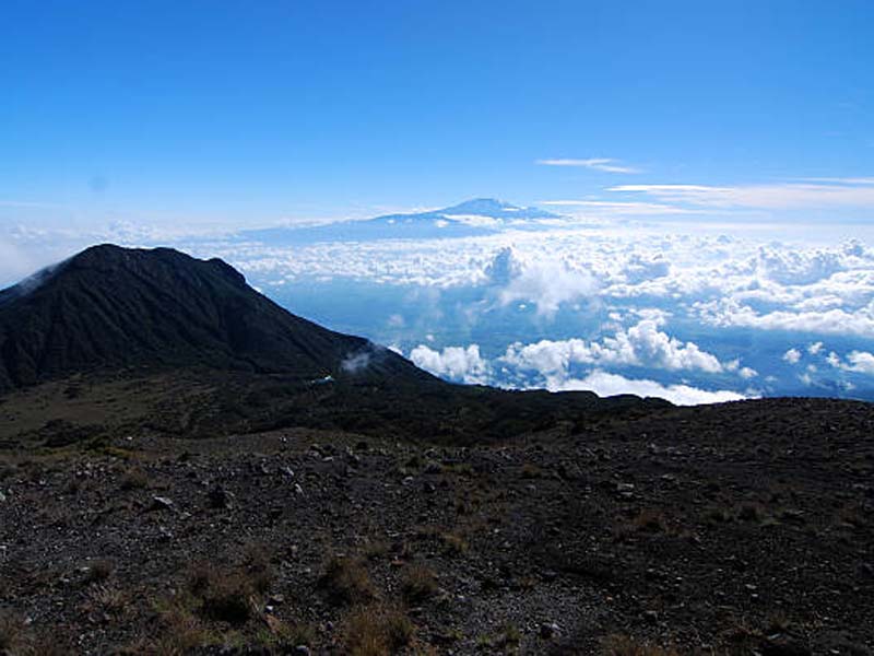 Day description photo 2