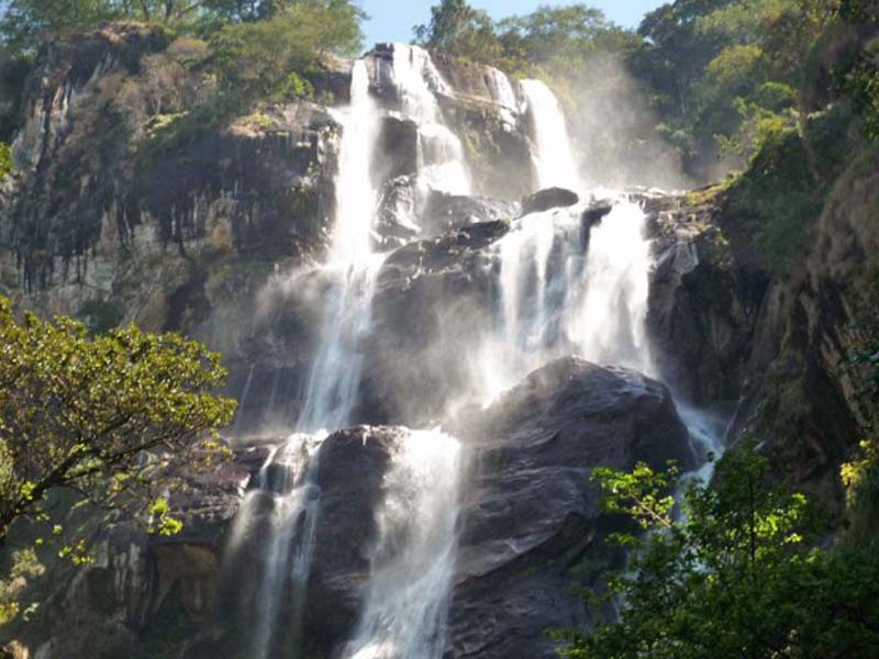 From Dar es Salaam – Udzungwa Mountains National Park photo 2