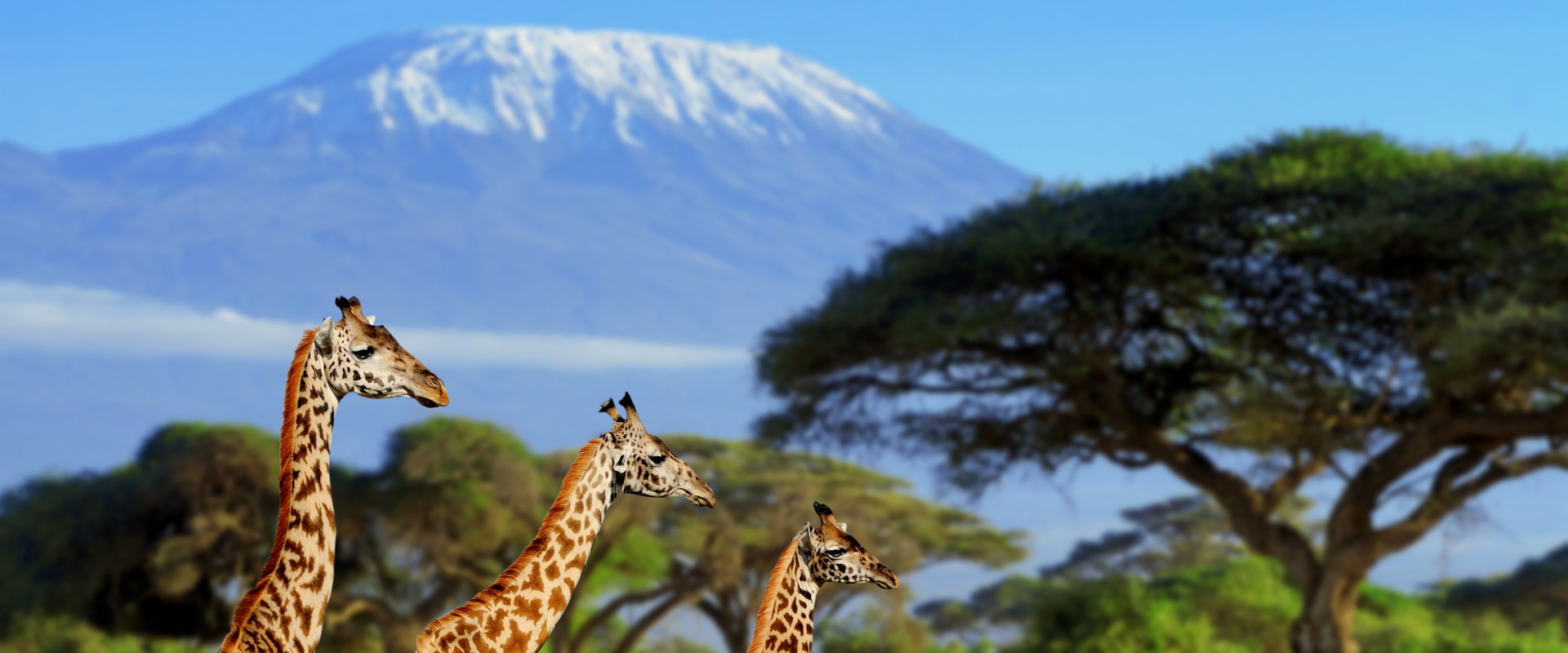 Kilimanjaro National Park