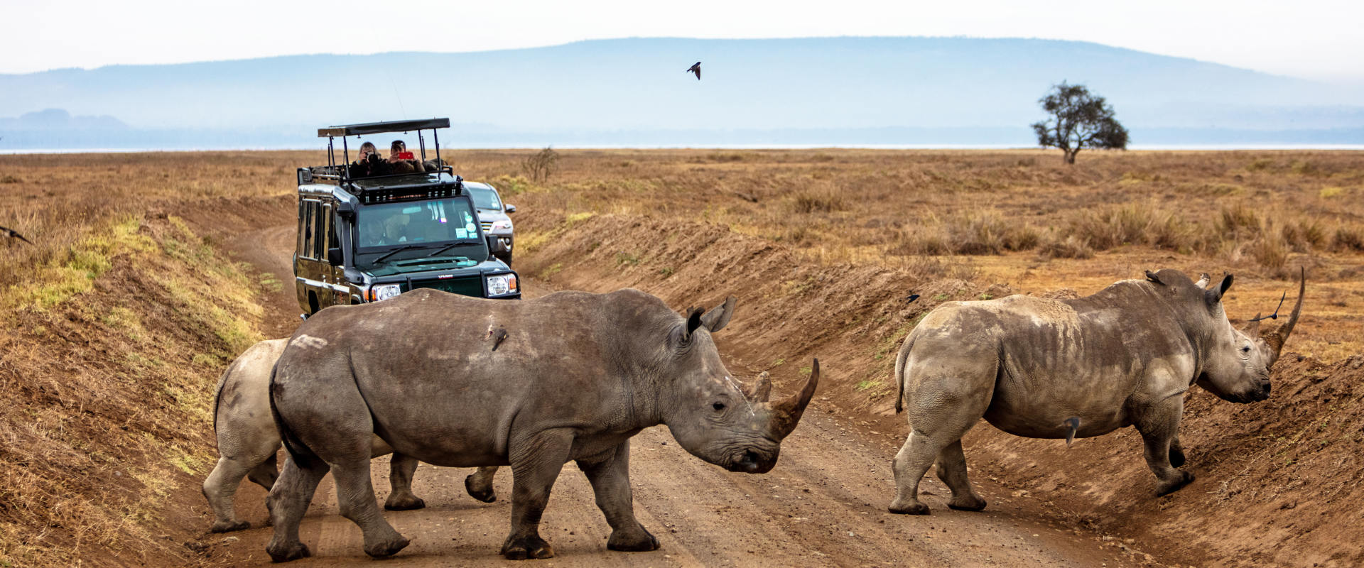 Mkomazi National Park