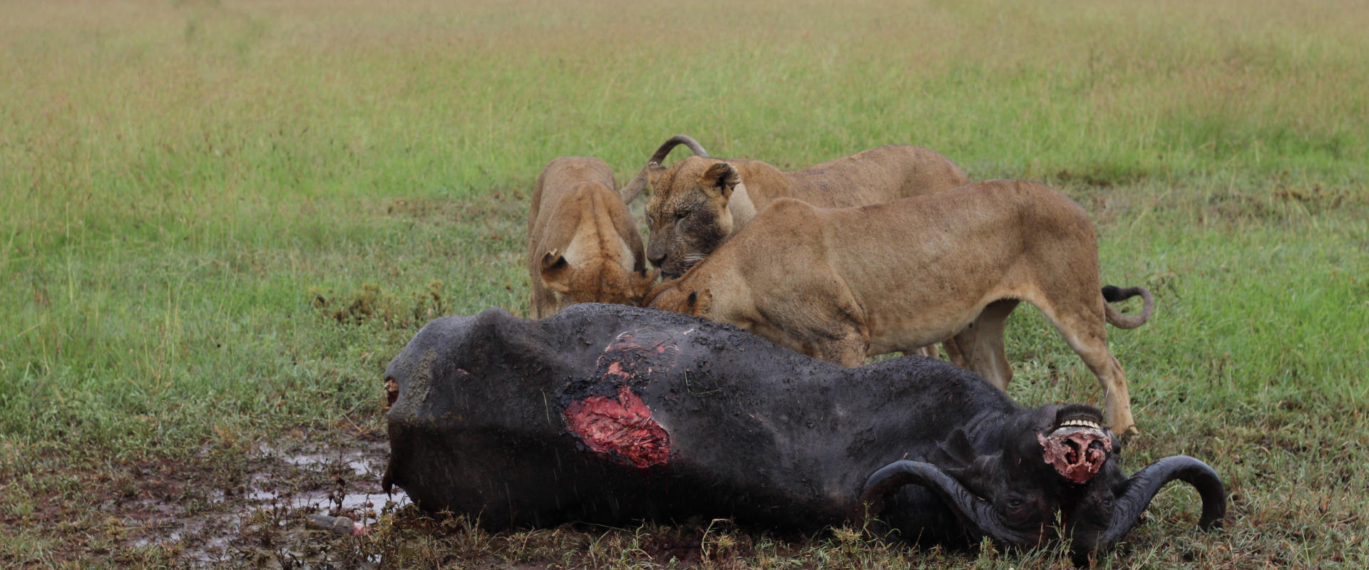 Serengeti National Park