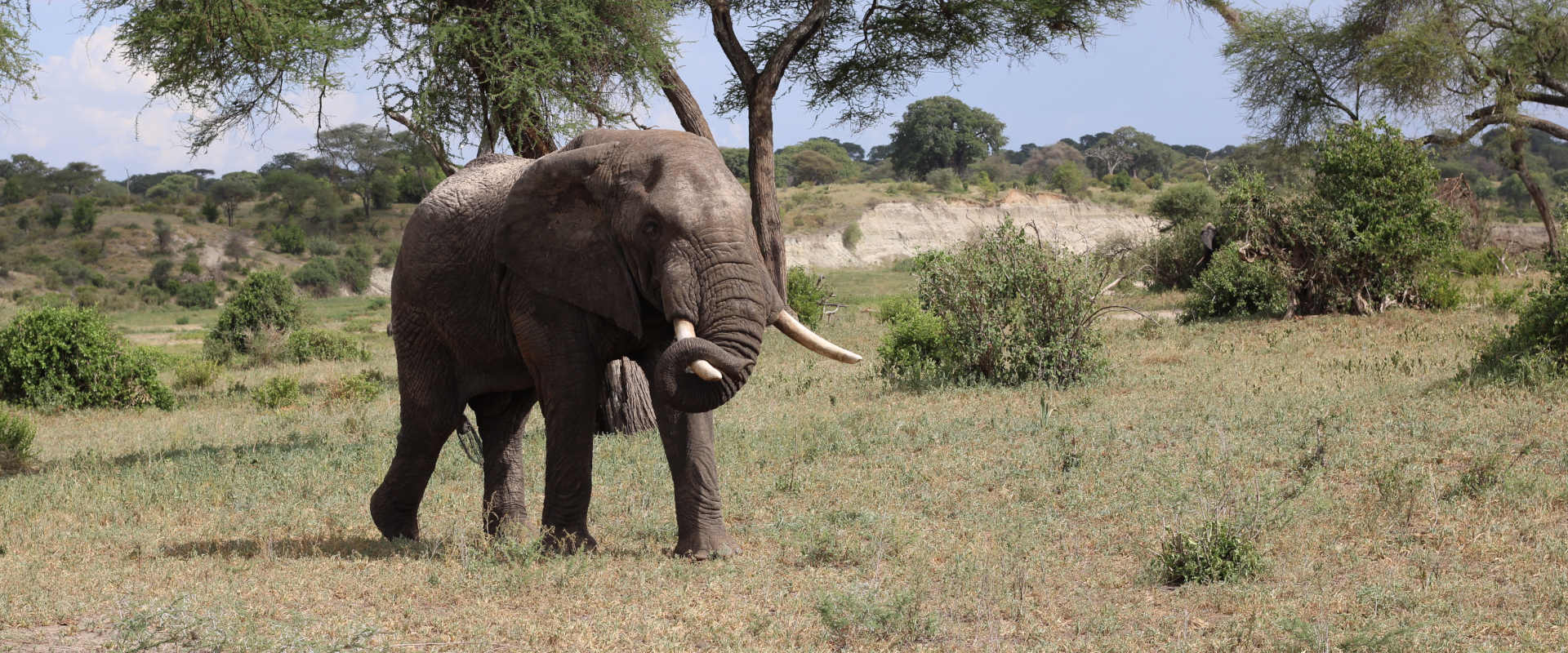 Tarangire National Park