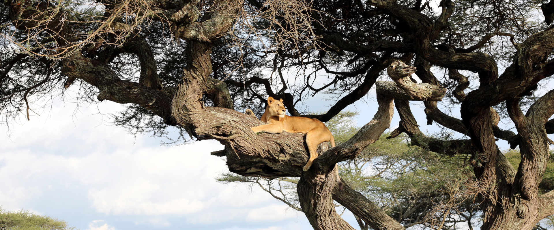 Lake Manyara National Park