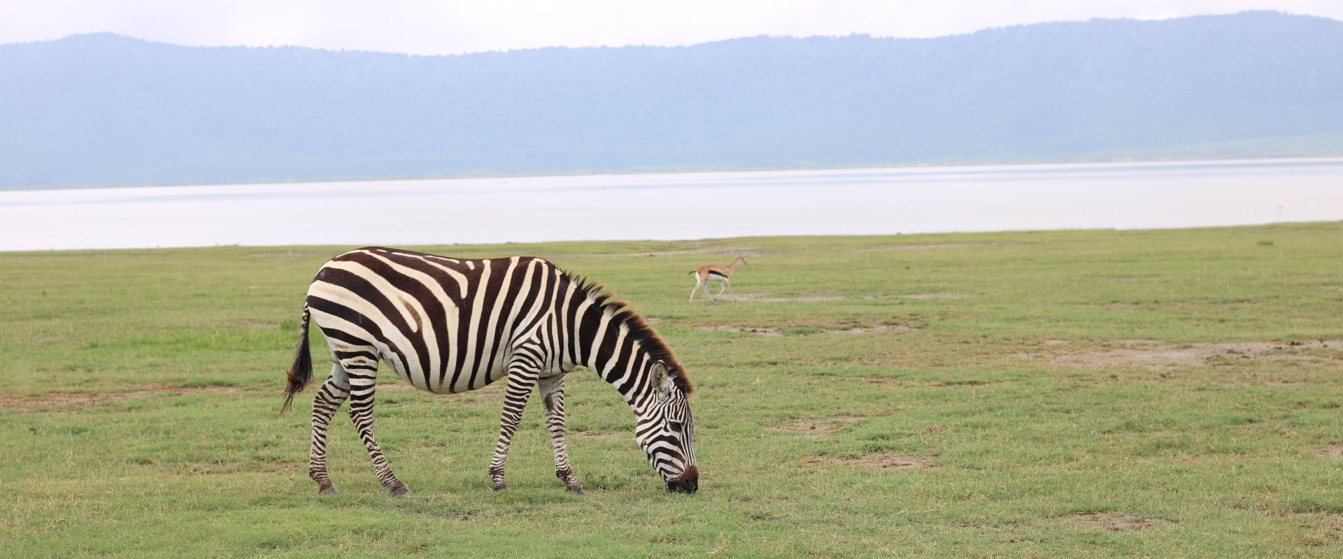 Arusha National Park