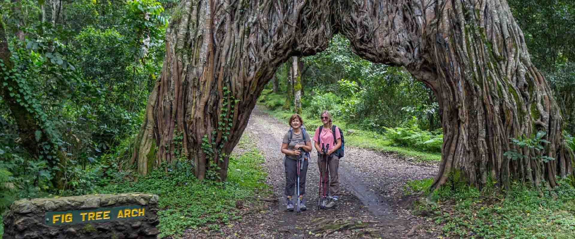 Make booking for safari