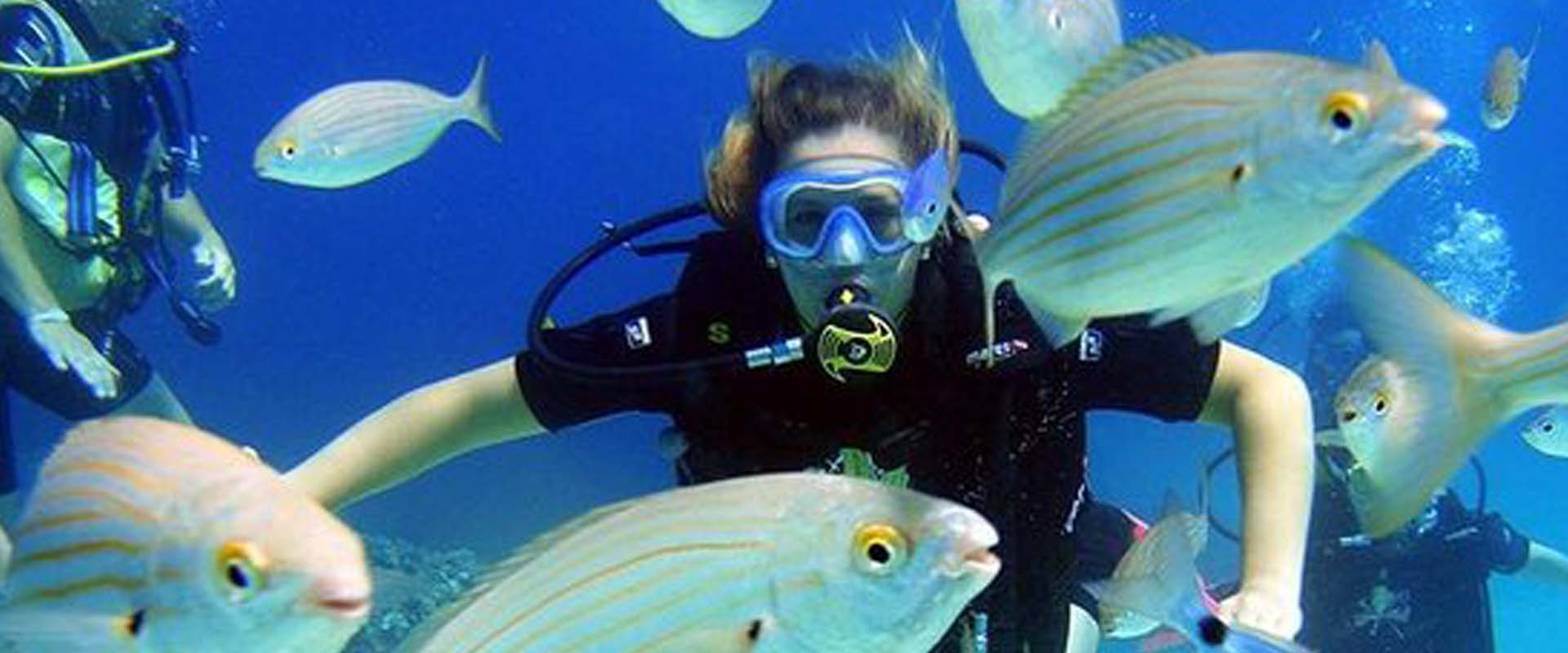 Adventure & Active Tourism – Paje Coastal Zone