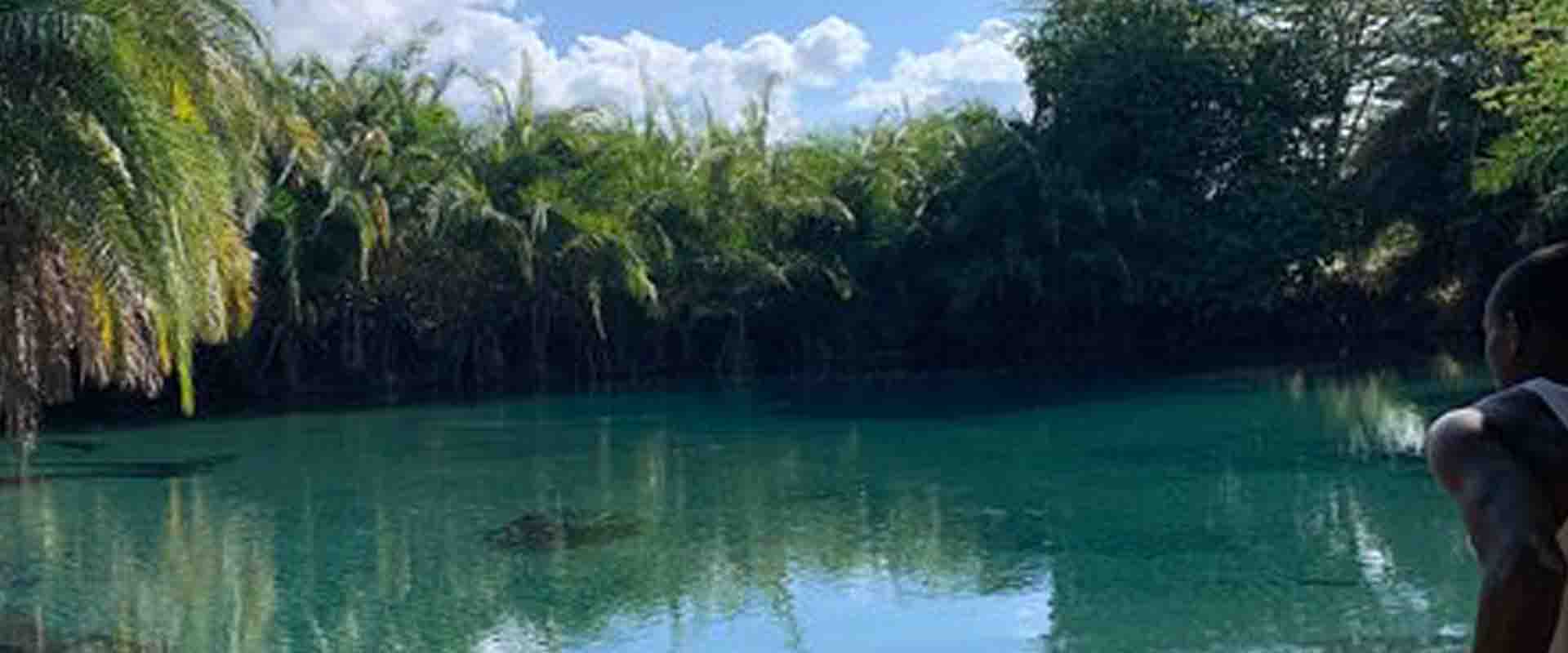 Nature & Scenic Day Trips