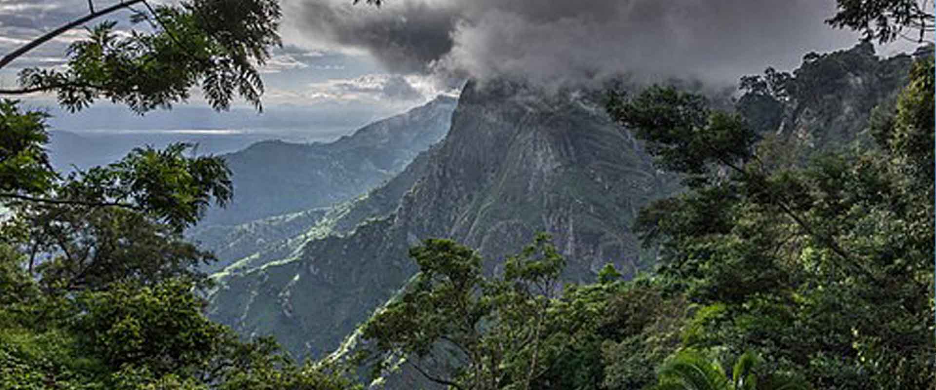 Usambara Mountains Hiking