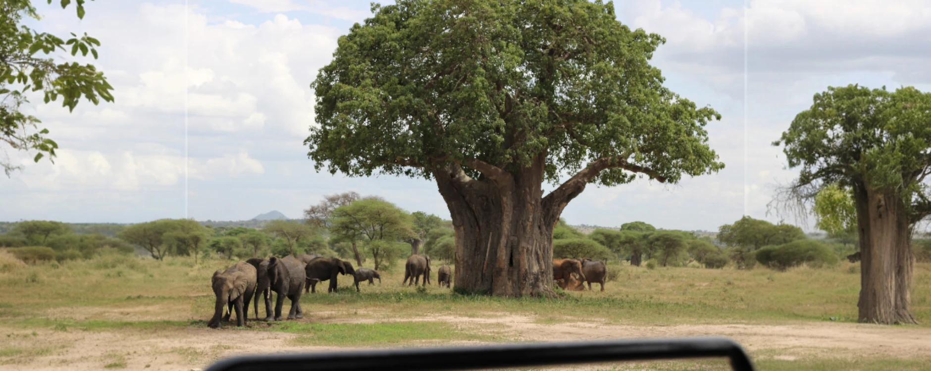 Wildlife Safari & Zanzibar Holiday