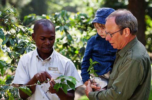 Nature Walks ( Soft walking Experience )