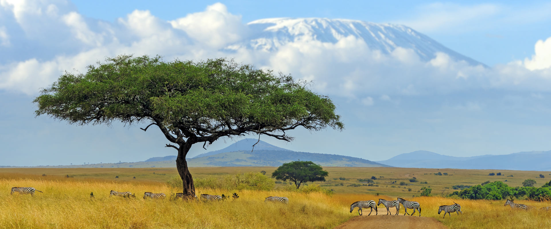 Kilimanjaro Short Hikes