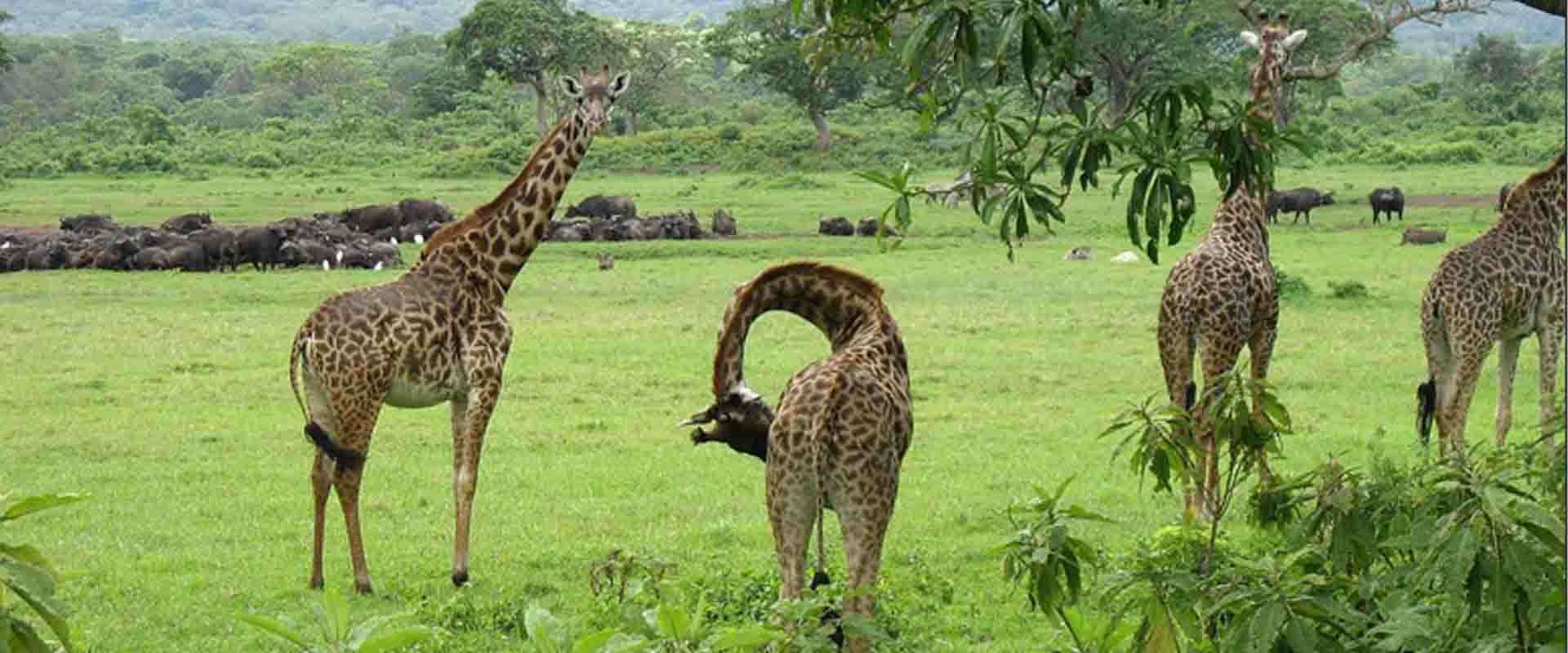 Short Getaways & Express Tours