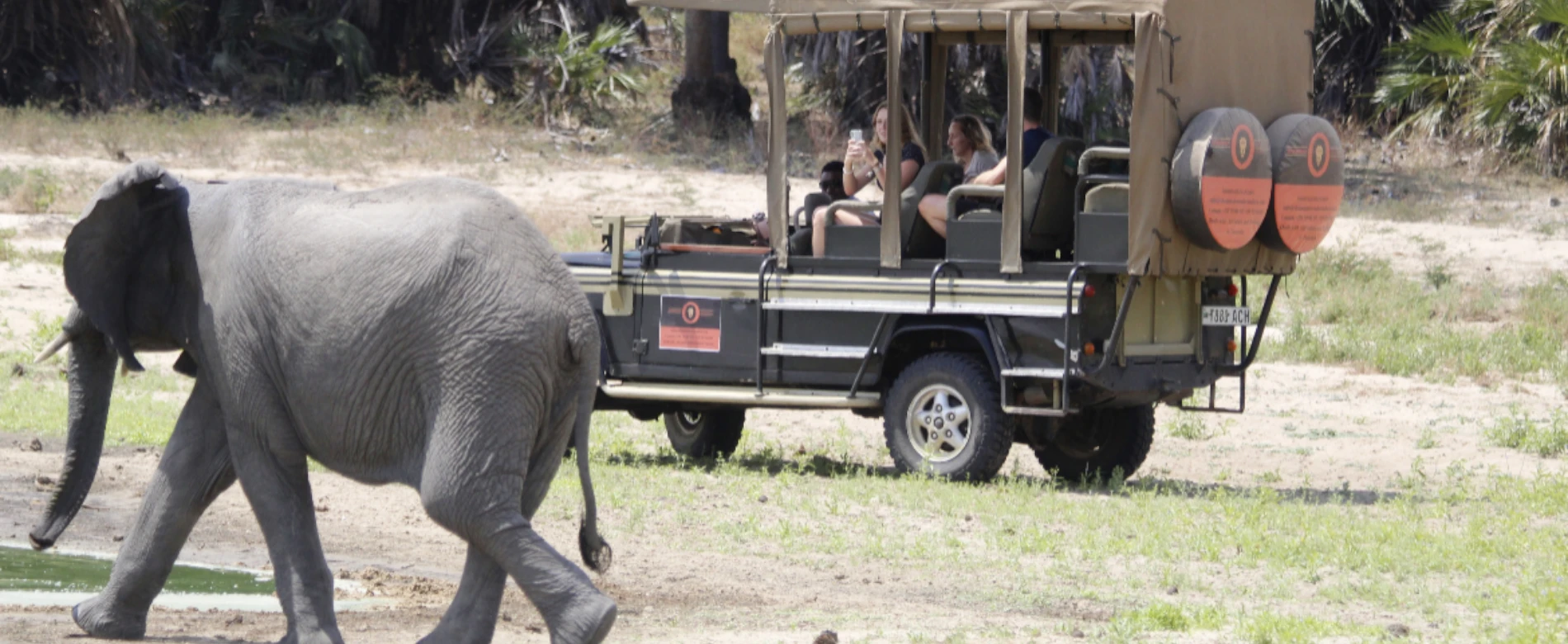 Short safari from Zanzibar