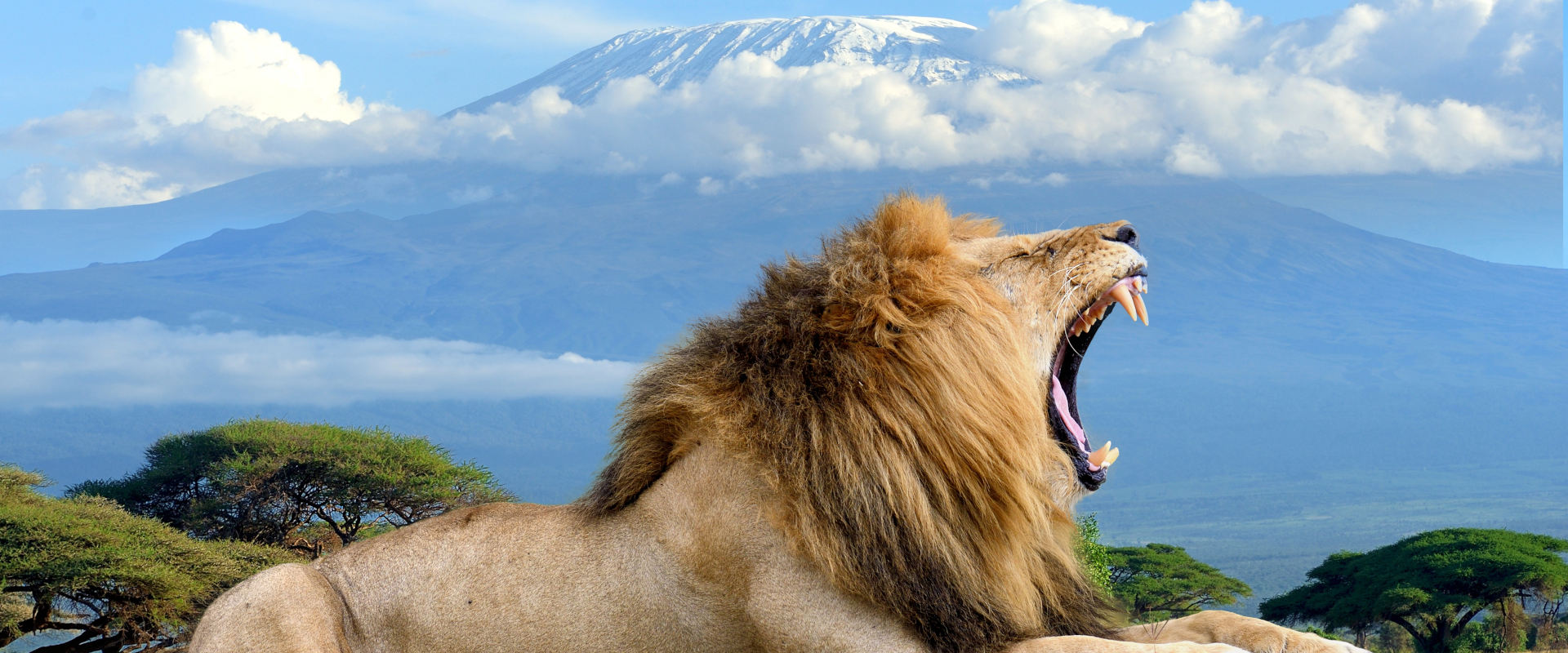 Mt. Kilimanjaro Climbing