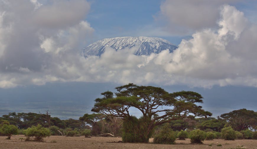 Mount Kilimanjaro Day Tour