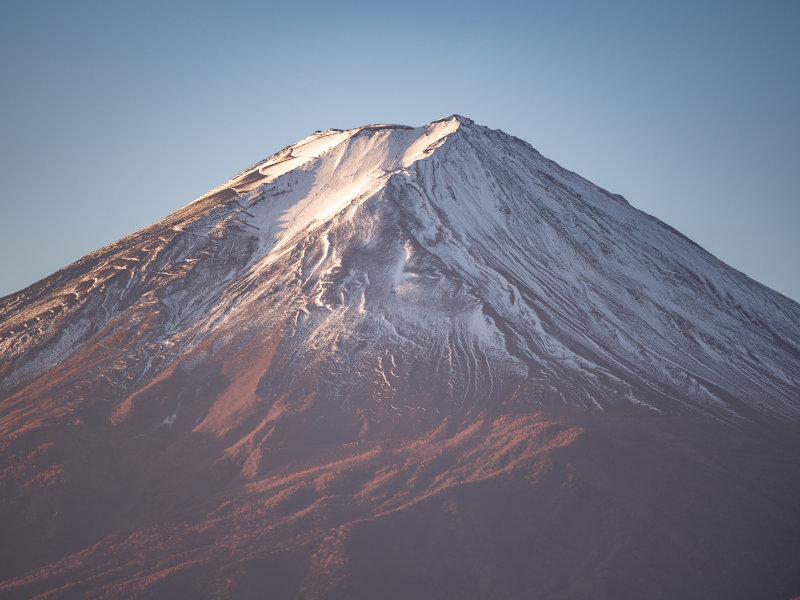 1-Day Hike Machame Forest Route