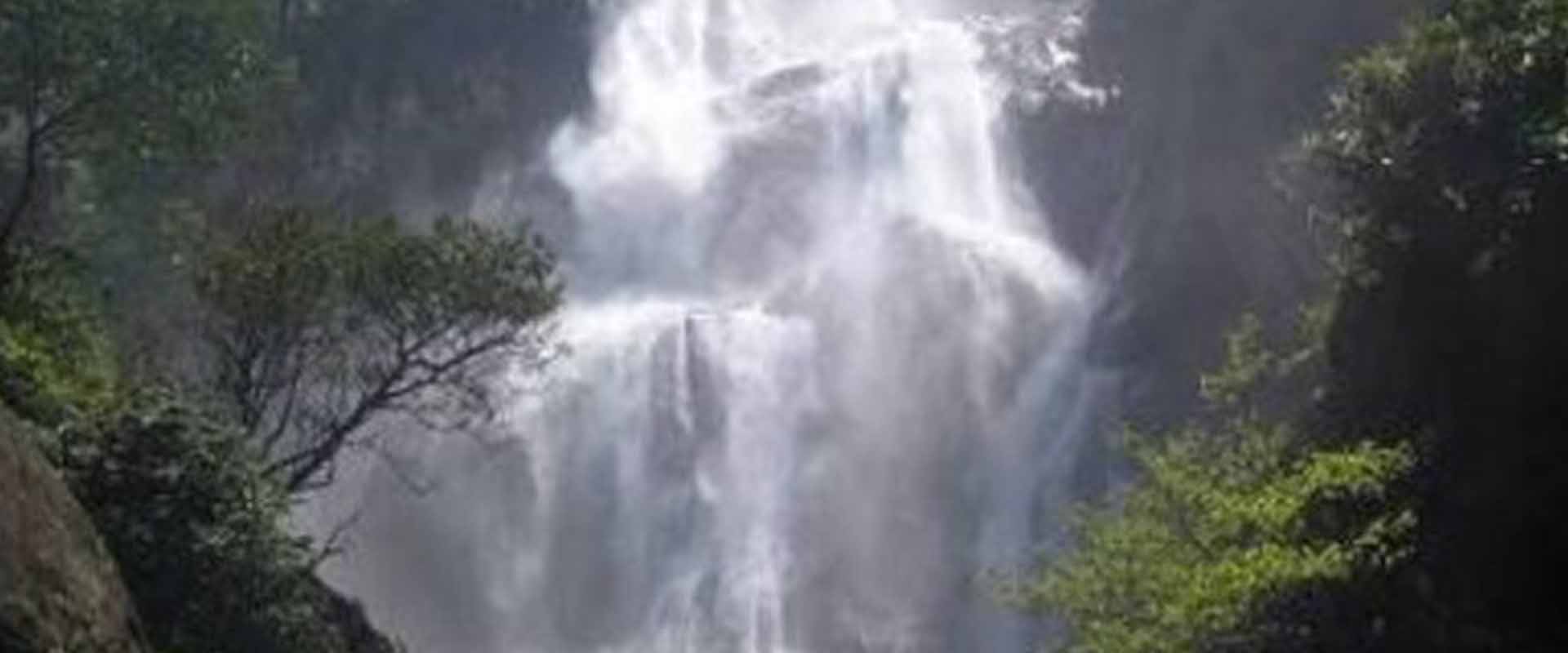 4-Days Udzungwa Mountains Hiking Adventure