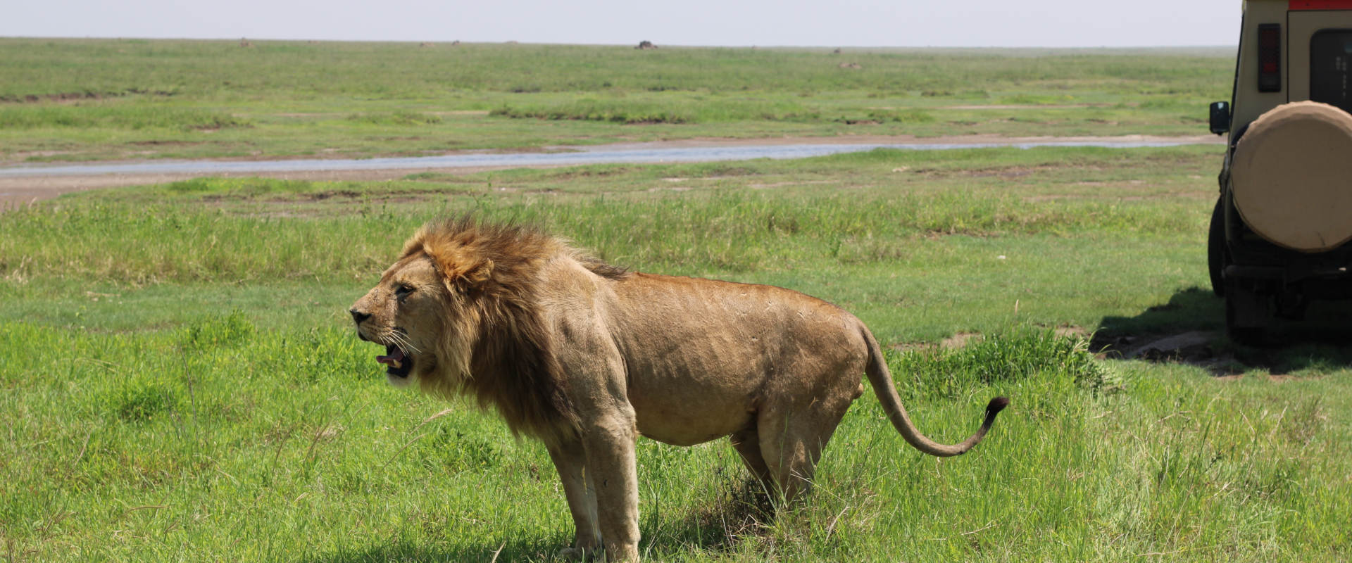 7 Days High Range Lodge Safari Tarangire, Serengeti & Ngorongoro Crater