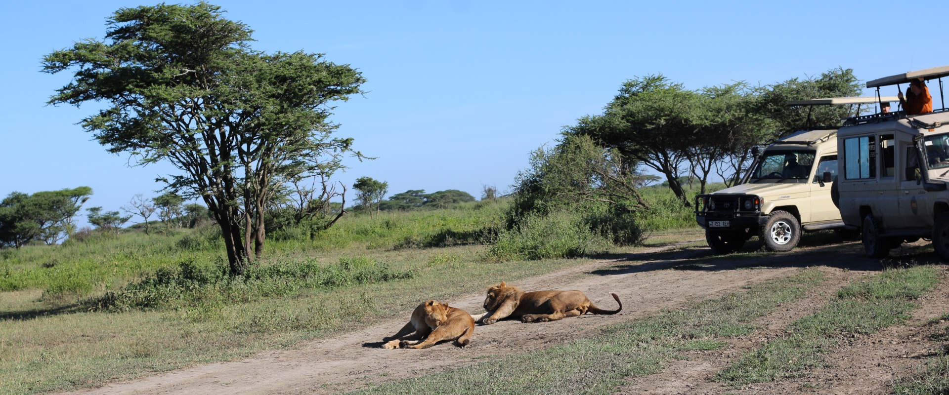 3 Day Bush Camping Safari (Tarangire National Park, Manyara National Park & Ngorongoro Crater)