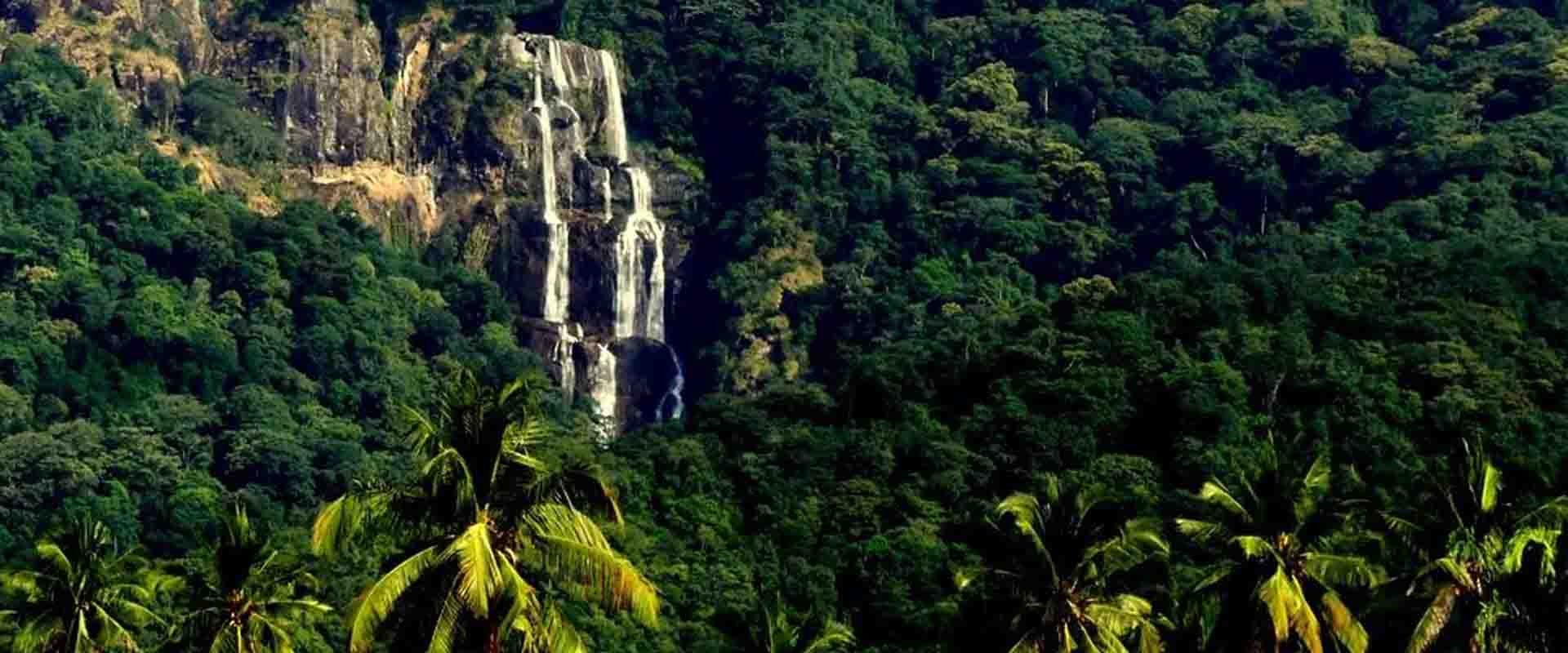 Forest Canopy & Waterfall Walk – Udzungwa Mountains National Park