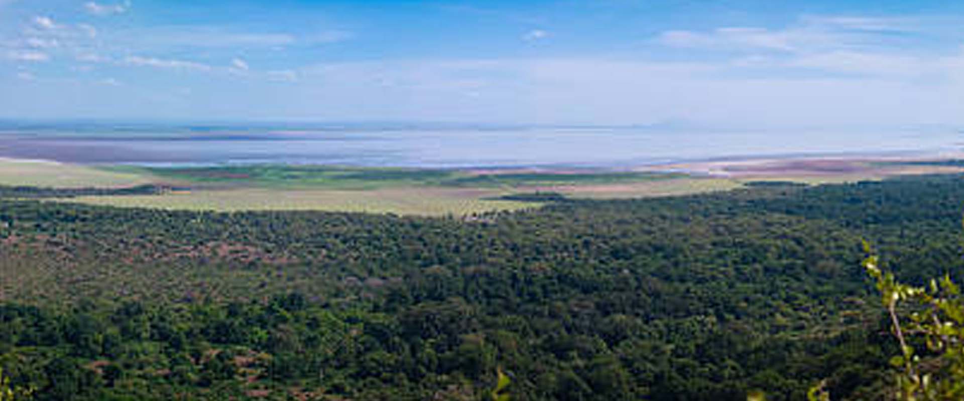 Lakeshore & Forest Walk – Lake Manyara National Park