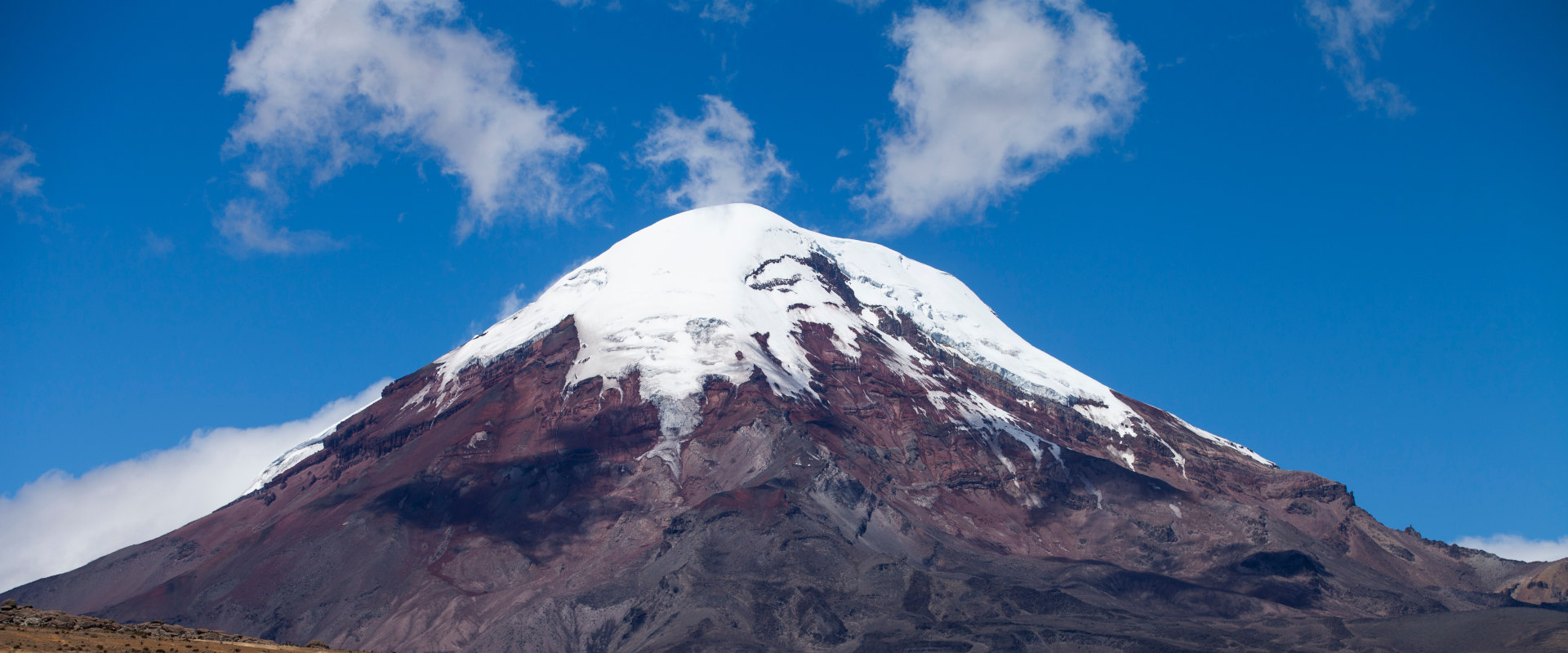 1-Day Hike Machame Forest